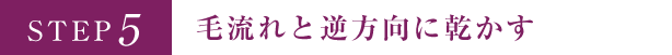 STEP5 毛流れと逆方向に乾かす