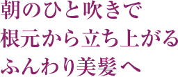  “朝のひと吹きで根元から立ち上がるふんわり美髪へ