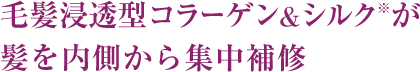 毛髪浸透型コラーゲン&シルク※が髪を内側から集中補修