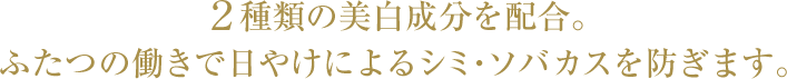 ２種類の美白成分を配合。ふたつの働きで日やけによるシミ・ソバカスを防ぎます。