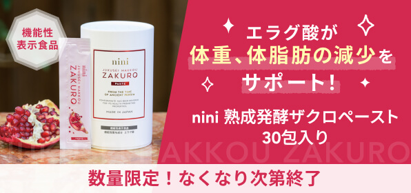 nini 熟成発酵ザクロペースト30包入り
