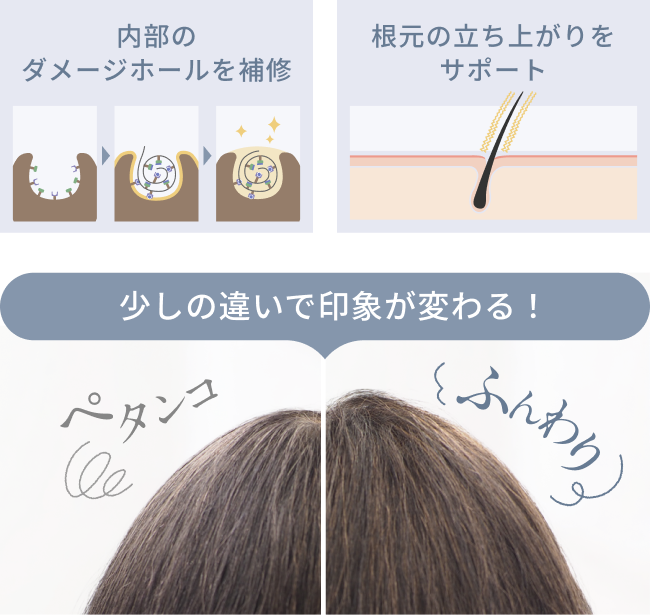 内部のダメージホールを補修  根元の立ち上がりをサポート  少しの違いで印象が変わる！  ぺタンコ  ふんわり
