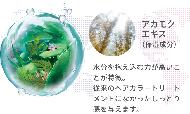 アカモクエキス（保湿成分）  水分を抱え込む力が高いことが特徴。従来のヘアカラートリートメントになかったしっとり感を与えます。
