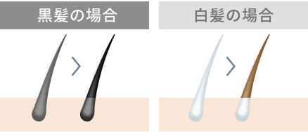 黒髪の場合 白髪の場合