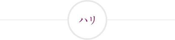 ハリ