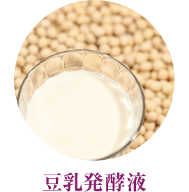 豆乳発酵液