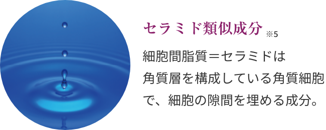 セラミド類似成分 ※5  細胞間脂質＝セラミドは角質層を構成している角質細胞で、細胞の隙間を埋める成分。