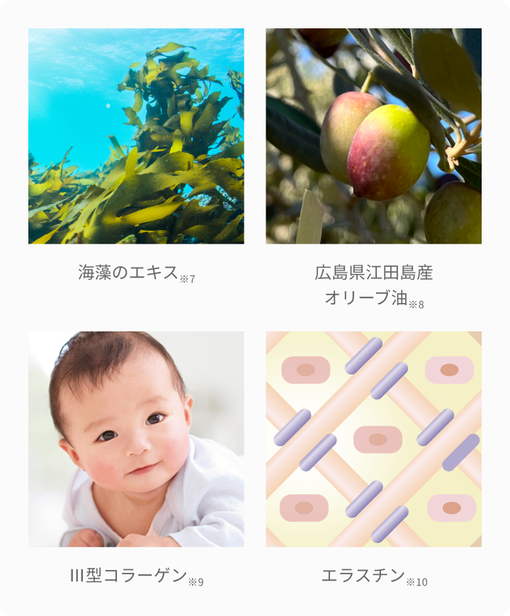 海藻のエキス※7  広島県江田島産  オリーブ油※8  Ⅲ型コラーゲン※9  エラスチン※10