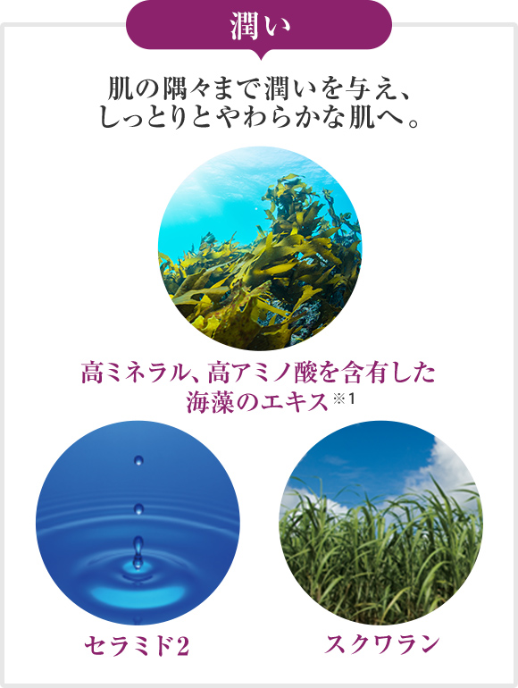 潤い 肌の隅々まで潤いを与え、しっとりとやわらかな肌へ。 高ミネラル、高アミノ酸を含有した※1 海藻のエキス＊ セラミド2 スクワラン