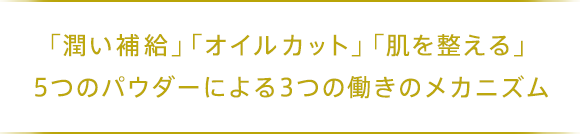 「潤い補給」「オイルカット」「肌を整える」 5つのパウダーによる3つの働きのメカニズム