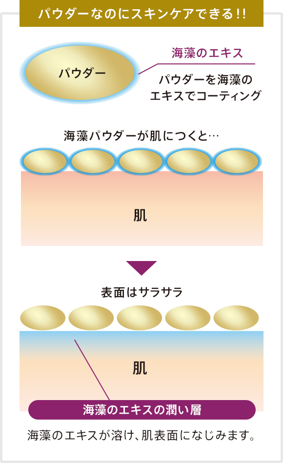 パウダーなのにスキンケアできる！！ パウダーを海藻のエキスでコーティング 海藻パウダーが肌につくと… 表面はサラサラ 海藻のエキスが溶け、肌表面になじみます。