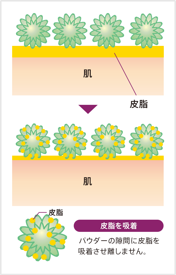 皮脂を吸着 パウダーの隙間に皮脂を吸着させ離しません。