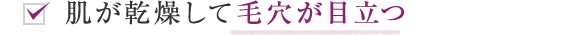 肌が乾燥して毛穴が目立つ