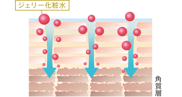 ジェリー化粧水 角質層