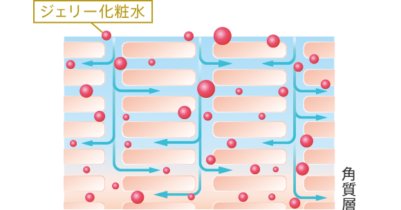ジェリー化粧水 角質層