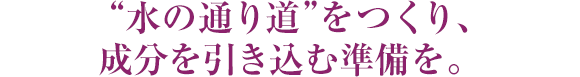 “水の通り道”をつくり、成分を引き込む準備を。