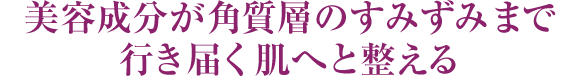 美容成分が角質層のすみずみまで行き届く肌へと整える