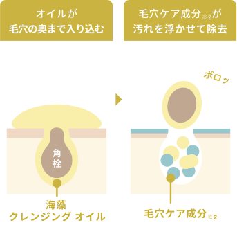オイルが毛穴の奥まで入り込む  角栓  海藻 クレンジング オイル  毛穴ケア成分※2が汚れを浮かせて除去  ポロッ  毛穴ケア成分※2