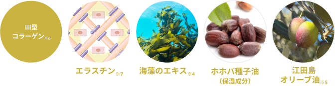 Ⅲ型 コラーゲン※6  エラスチン※7  海藻のエキス※4  ホホバ種子油（保湿成分）  江田島オリーブ油※5