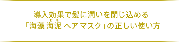 導入効果で髪に潤いを閉じ込める 「海藻 海泥（どろ） ヘア マスク」の正しい使い方