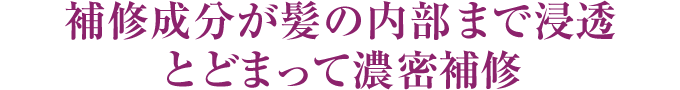 補修成分が髪の内部まで浸透とどまって濃密補修