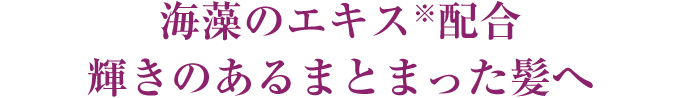 海藻のエキス※配合 輝きのあるまとまった髪へ