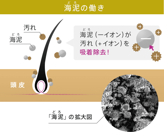 海泥の働き 海泥（－イオン）が汚れ（+イオン）を吸着除去！ 「海泥」の拡大図