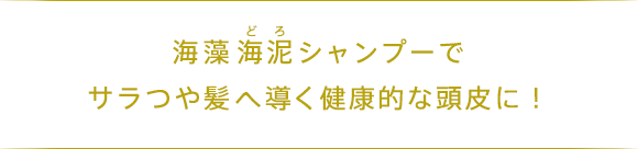 海藻 海泥 シャンプーで サラつや髪へ導く健康的な頭皮に！