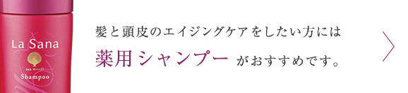 髪と頭皮のエイジングケアをしたい方には 薬用 シャンプー がおすすめです。