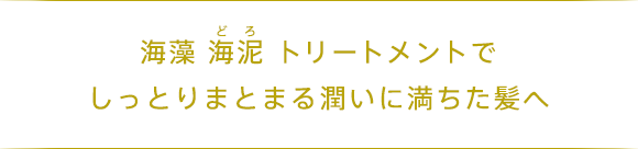 海藻 海泥 トリートメントでしっとりまとまる潤いに満ちた髪へ