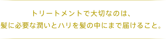 トリートメントで大切なのは、髪に必要な潤いとハリを髪の中にまで届けること。