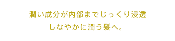 潤い成分が内部までじっくり浸透しなやかに潤う髪へ。