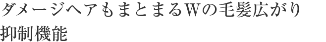 ダメージヘアもまとまるWの毛髪広がり抑制機能