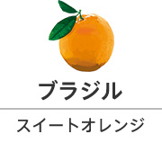 ブラジル スイートオレンジ