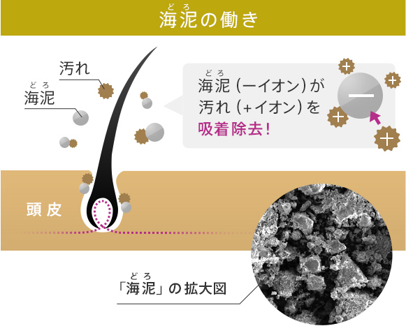 海泥の働き 海泥（－イオン）が汚れ（＋イオン）を吸着除去！ 「海泥」の拡大図