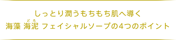 しっとり潤うもちもち肌へ導く 海藻 海泥 フェイシャルソープの4つのポイント