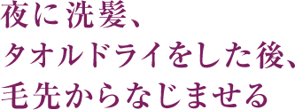 夜に洗髪、タオルドライをした後、毛先からなじませる