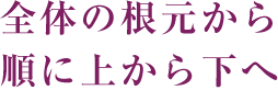 全体の根元から順に上から下へ