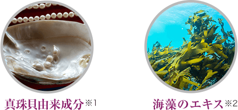 真珠貝由来成分※1 海藻のエキス※2
