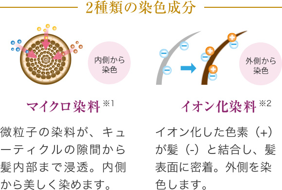 2種類の染色成分 内側から染色 マイクロ染料※1 微粒子の染料が、キューティクル の隙間から髪内部まで浸透。 内側から美しく染めます。 外側から染色 イオン化染料※2 イオン化した色素（+）が 髪（-）と結合し、髪表面 に密着。外側を染色します。