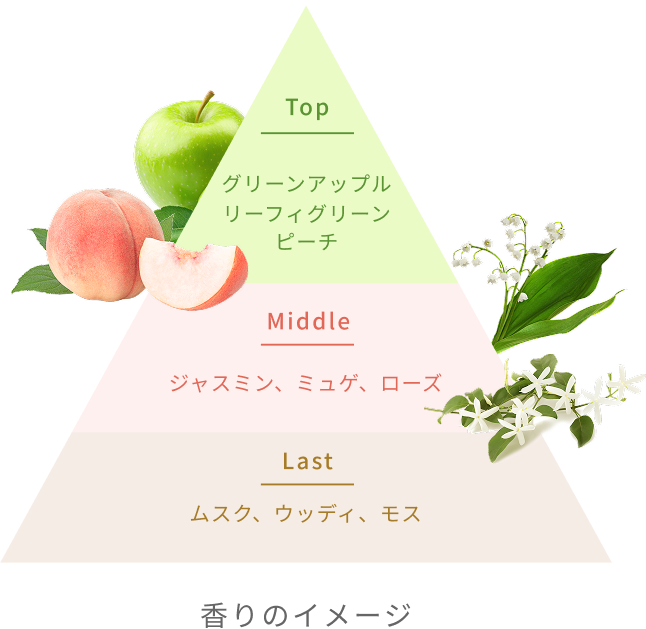 Top グリーンアップル リーフィグリーン ピーチ Middle ジャスミン、ミュゲ、ローズ Last ムスク、ウッディ、モス 香りのイメージ