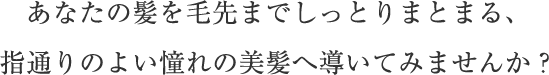 あなたの髪を毛先までしっとりまとまる、指通りのよい憧れの美髪へ導いてみませんか？