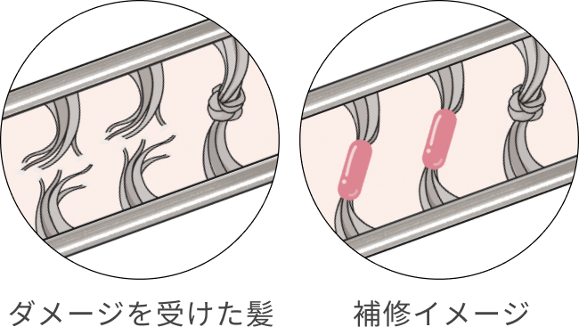 ダメージを受けた髪 補修イメージ