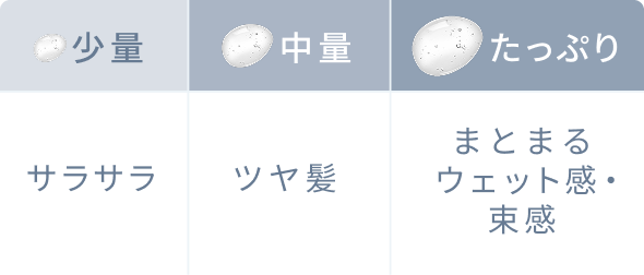 少量 サラサラ 中量 ツヤ髪 たっぷり まとまるウェット感・束感
