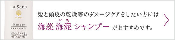 髪と頭皮のダメージケアをしたい方には海藻 海泥（どろ） シャンプーがおすすめです。