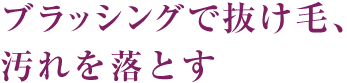 ブラッシングで抜け毛、汚れを落とす