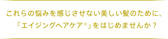 これらの悩みを感じさせない美しい髪のために、「エイジングヘアケア」 をはじめませんか？