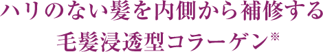 やせた髪を内側から修復する毛髪浸透型コラーゲン（※）