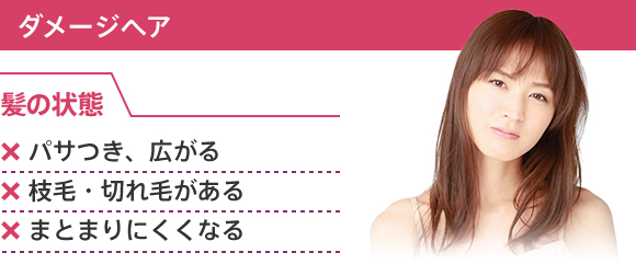 ダメージヘア 髪の状態 ×パサつき、広がる ×枝毛・切れ毛がある ×まとまりにくくなる