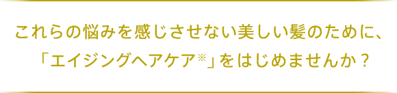 これらの悩みを感じさせない美しい髪のために、「エイジングヘアケア」 をはじめませんか？